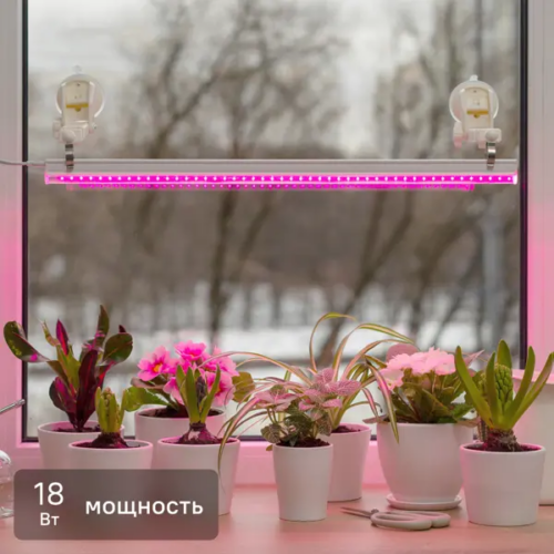 Фитосветильник линейный светодиодный Т5 Ritter Planta 56292 4 18Вт 1180мм провод 2м с выключателем на корпусе цвет белый