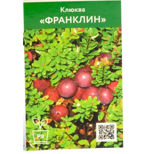 Клюква Франклин h20 см