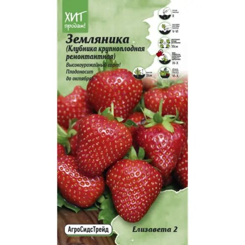 Семена ягод Агросидстрейд клубника ремонтантная Елизавета 2